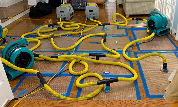 Professional Structural Drying And Dehumidification technician working in Montreal, MO
